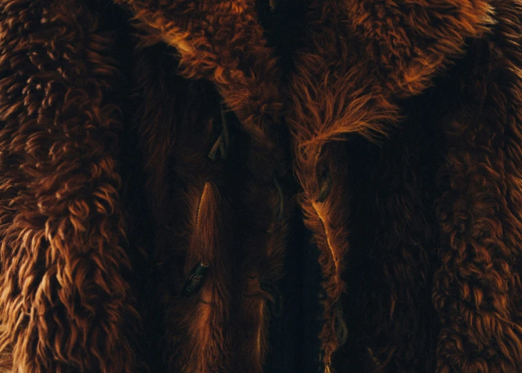 the fur collar is brown color on this jacket