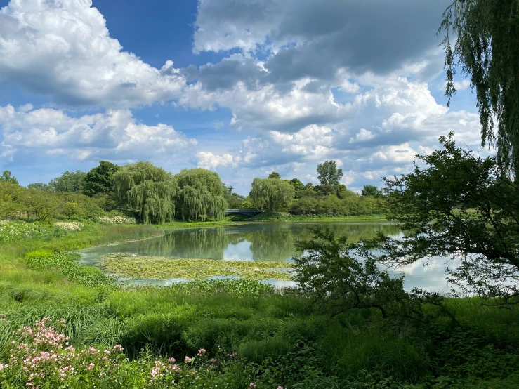 a body of water surrounded by trees on a cloudy day