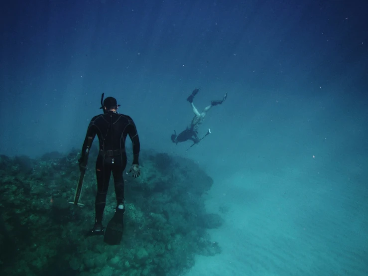 scubar diving into the ocean with a large shark near him