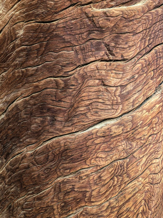 wood textured up with rough peelings in the middle