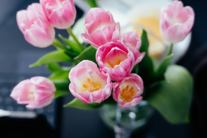 some pink flowers in a vase with green leaves