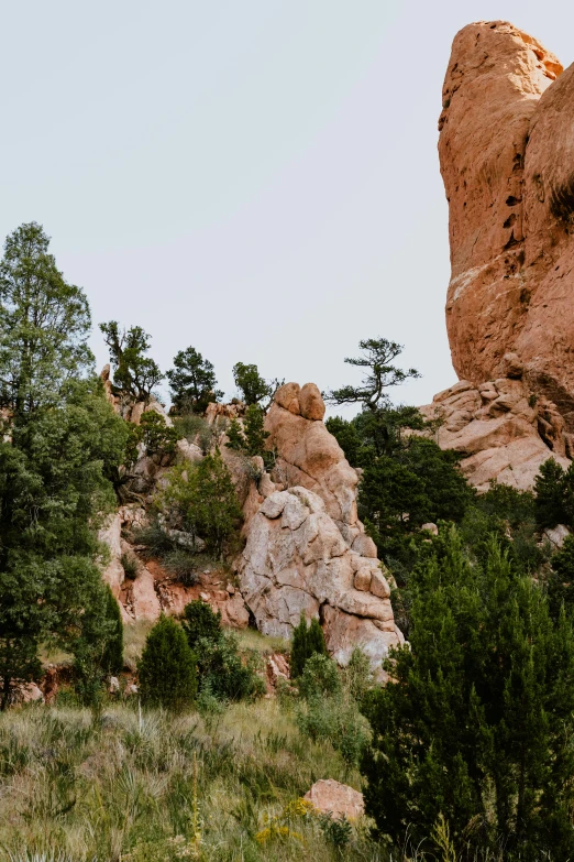 a giraffe walking away from some trees by a rocky outcropping