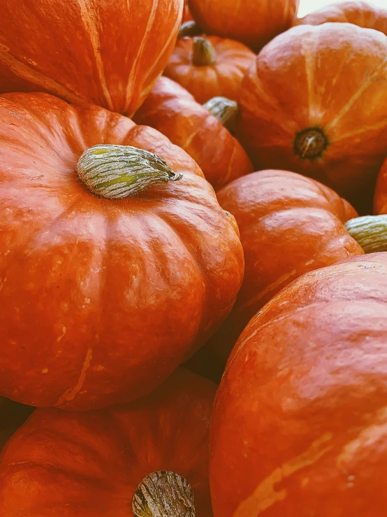 there are a lot of pumpkins for sale in this picture