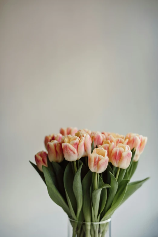 a bouquet of pink tulips in a vase on a table