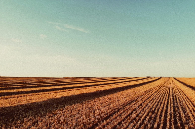 an open field with rows of lines, blue sky and clouds