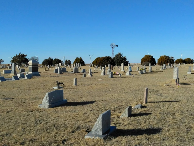 a cemetery area with a dog at the base of it