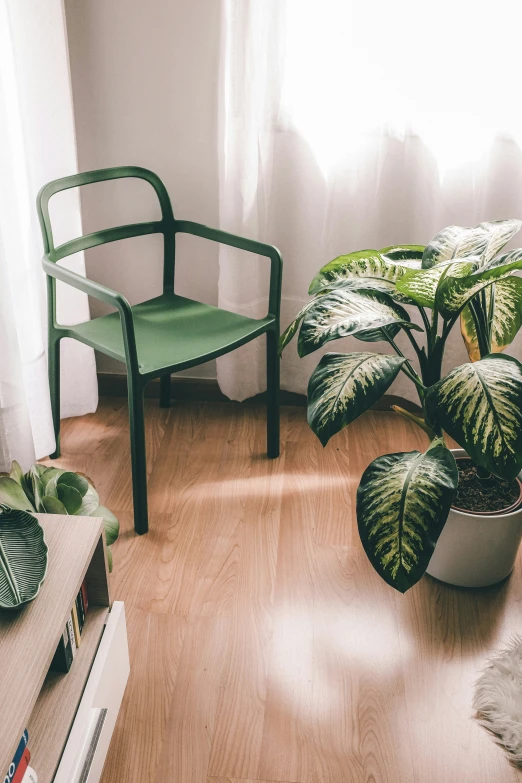 a room with a table, chair and plants