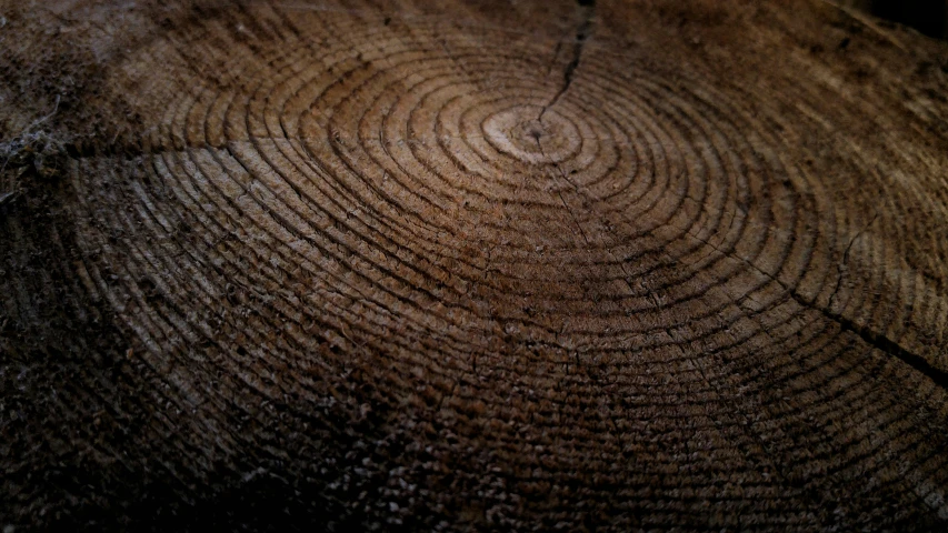 an old wooden surface with a round pattern and grain