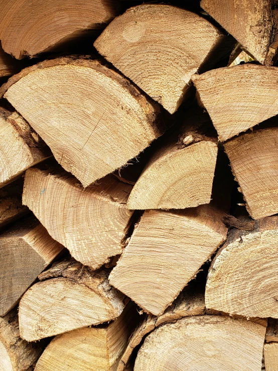 wood logs stacked neatly close up for consumption