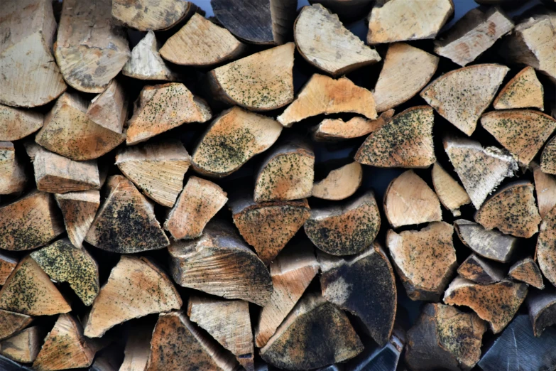 a large pile of firewood cut into triangles