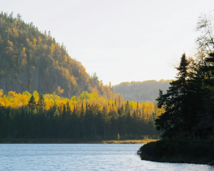 an image of a wooded area with a lake in front