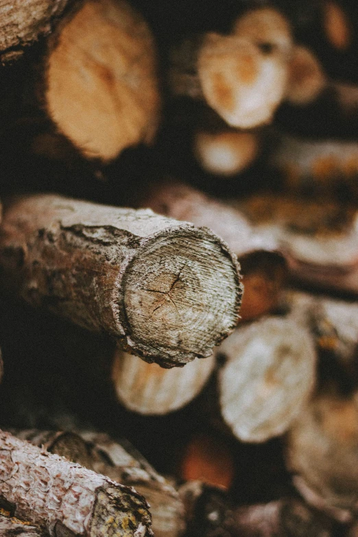 the logs are stacked in a pile