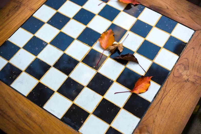 two autumn leaves are lying on the checkered tile