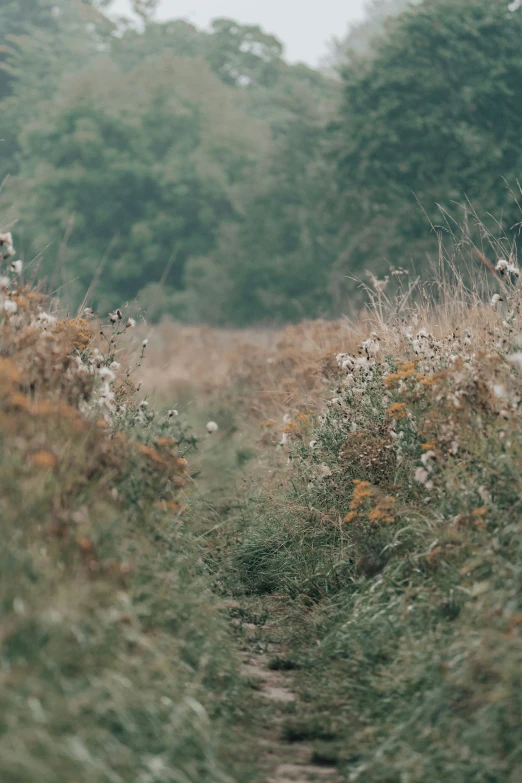 a man standing on the side of a lush green field