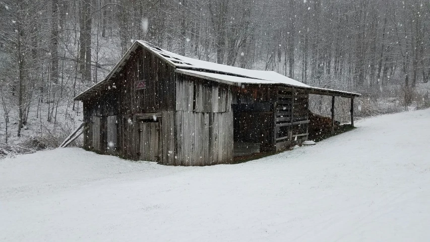 a shack in a forest with snow on the ground