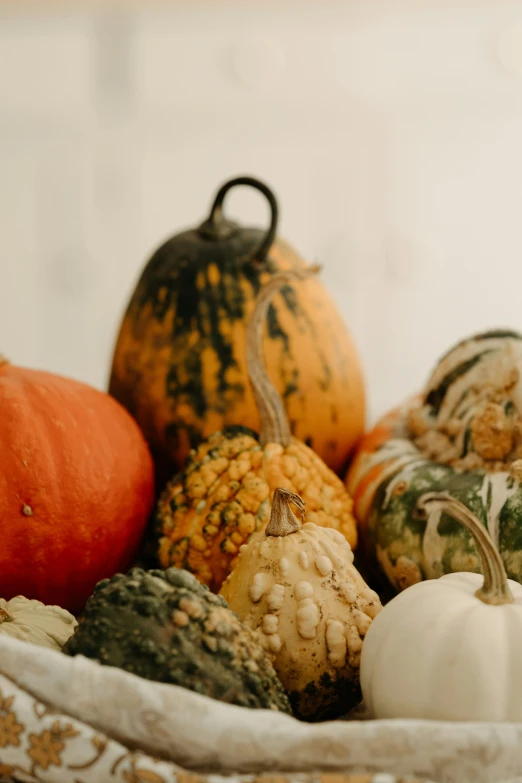 several pumpkins, gourds and squash sitting in a basket