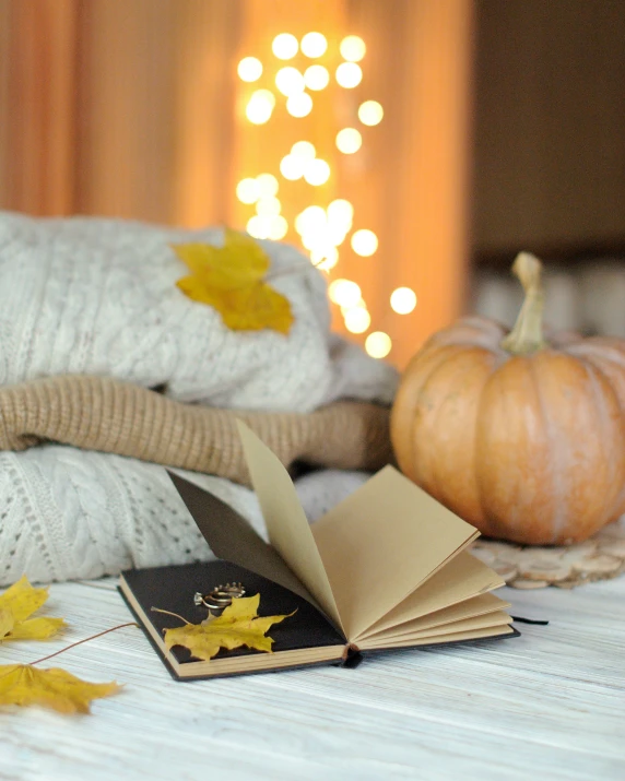 books and sweaters sit on a bed