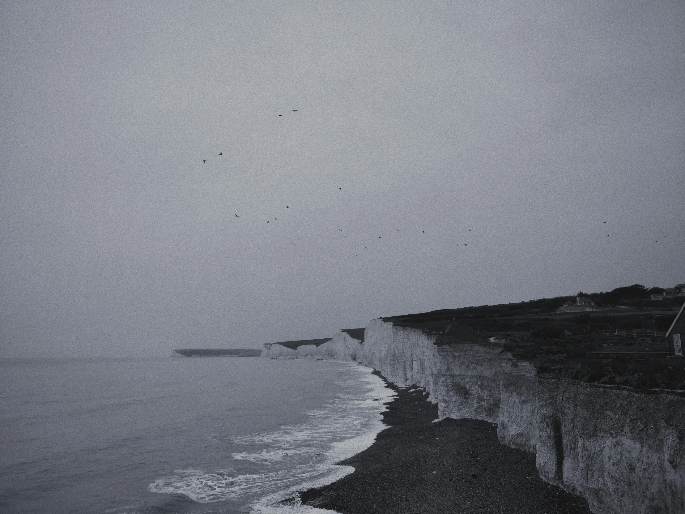 a black and white po with birds flying above