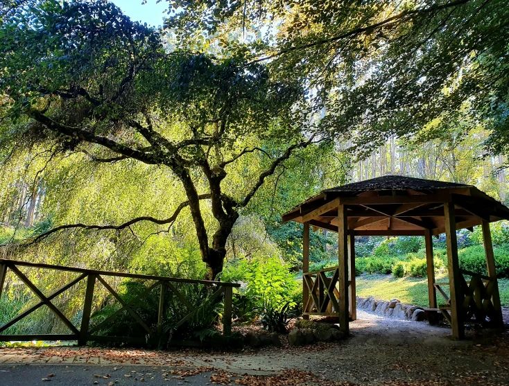 a gazebo and a bridge in the woods with trees