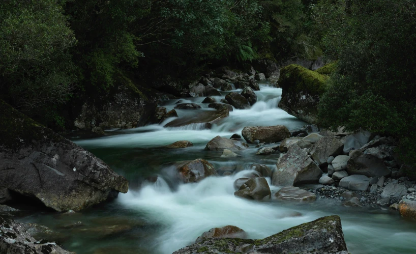 a creek with rapids, rocks, and trees in the background