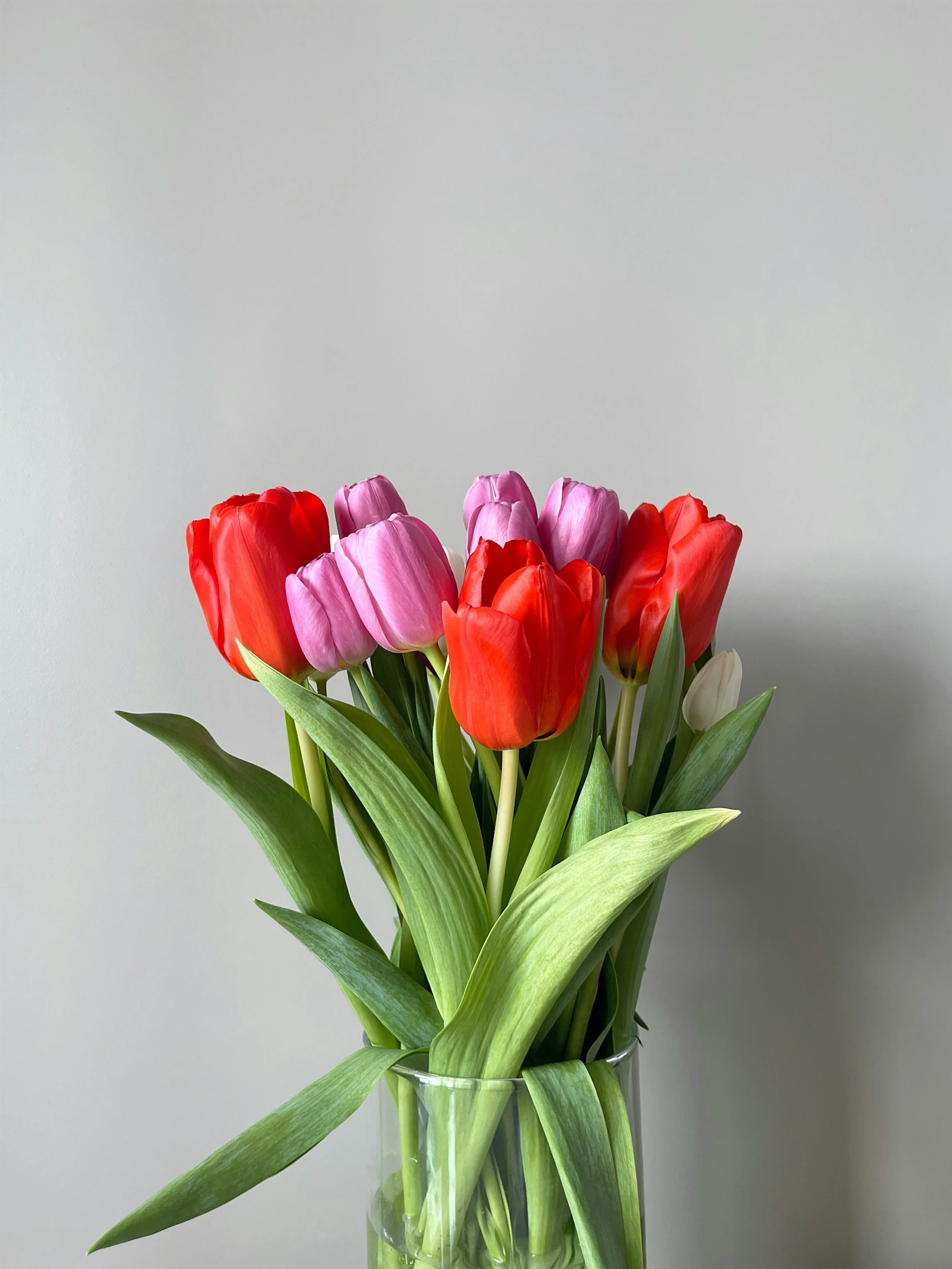 tulips with green stems in a glass vase on top of a table