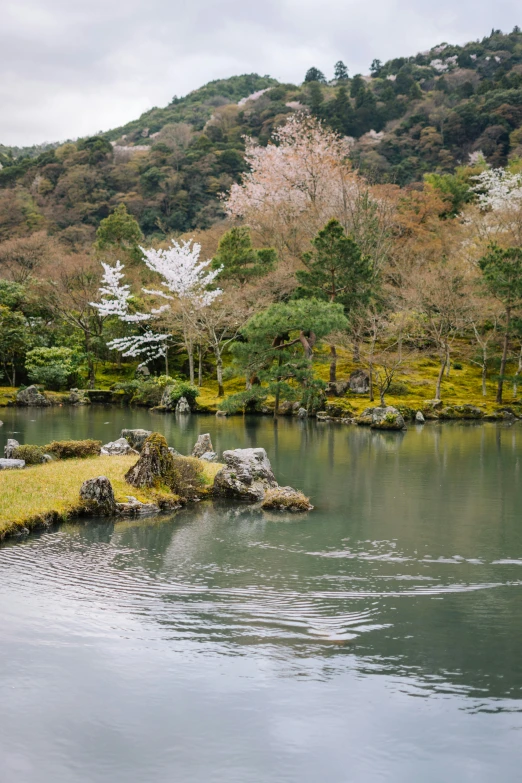 a pond with several trees, shrubs, and a mountain in the background