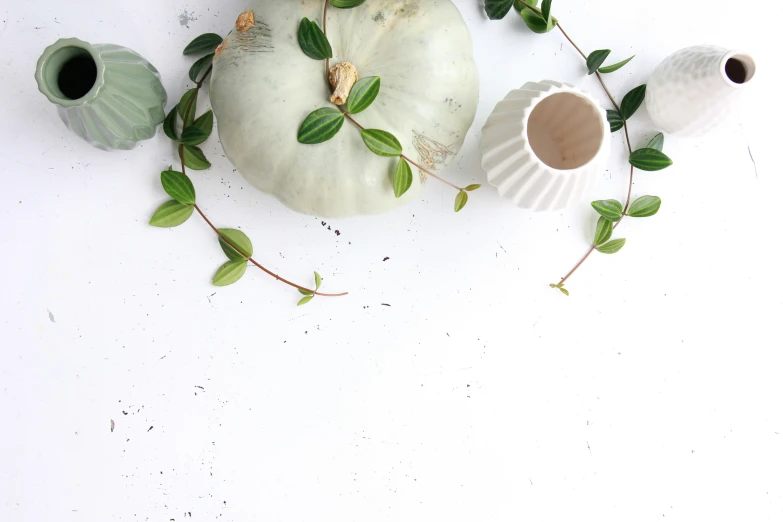 a white pumpkin with several pieces of it in the middle