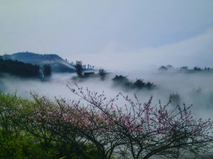 a foggy forest with a castle in the distance