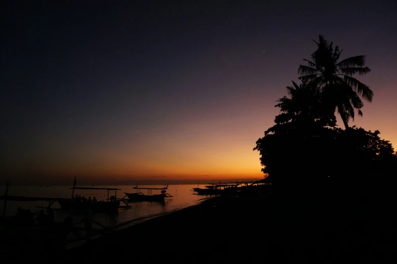 boats parked in water at sunset with palm trees