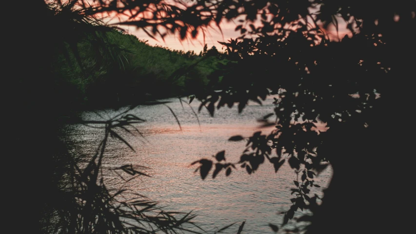 view of water at dusk from a river near shore