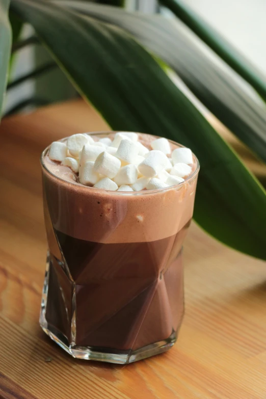 a  chocolate drink sitting next to a plant