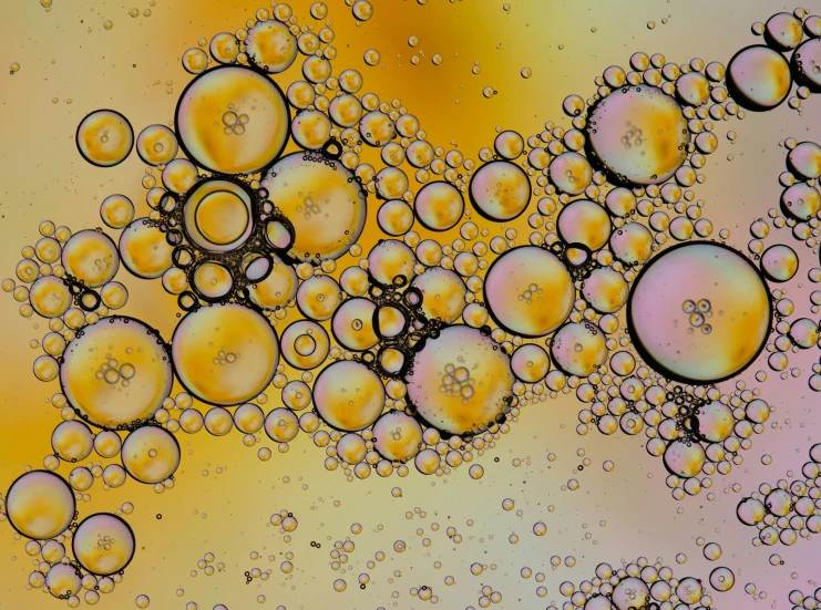 an abstract pograph of bubbles in yellow, orange, and pink