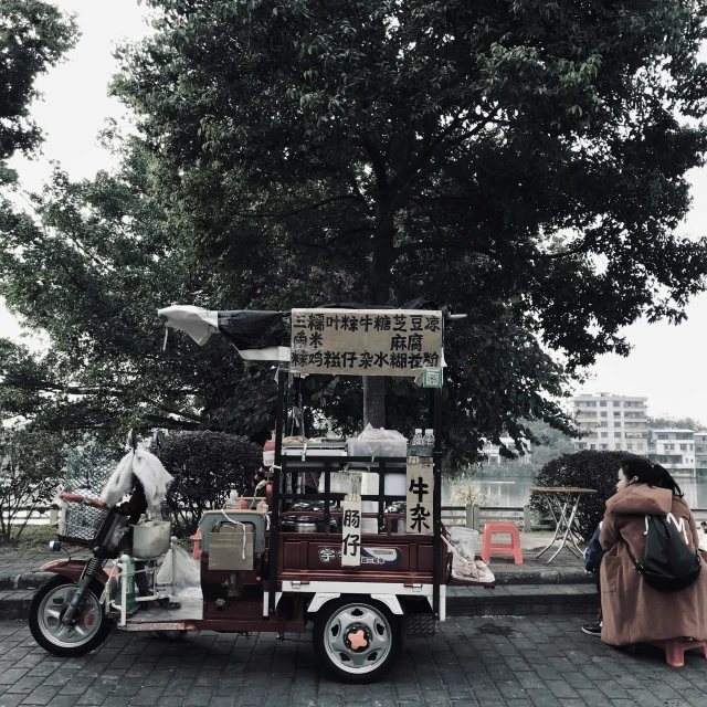 the woman is looking at the small food cart