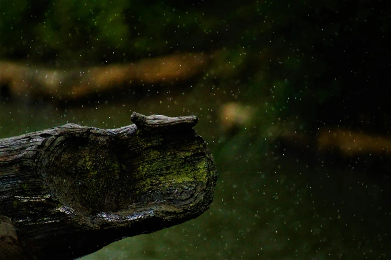 a wooden piece in the rain sitting on the ground