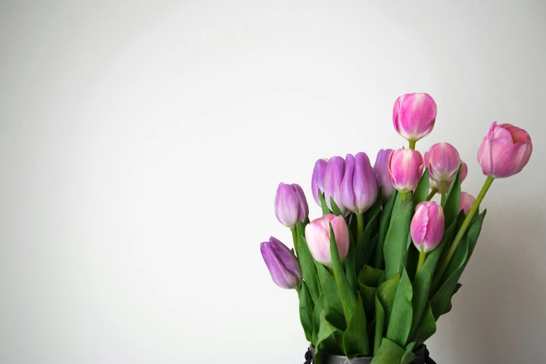 a silver vase with pink tulips sticking out of it