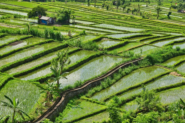 an aerial view of an outdoor area with lots of green grass