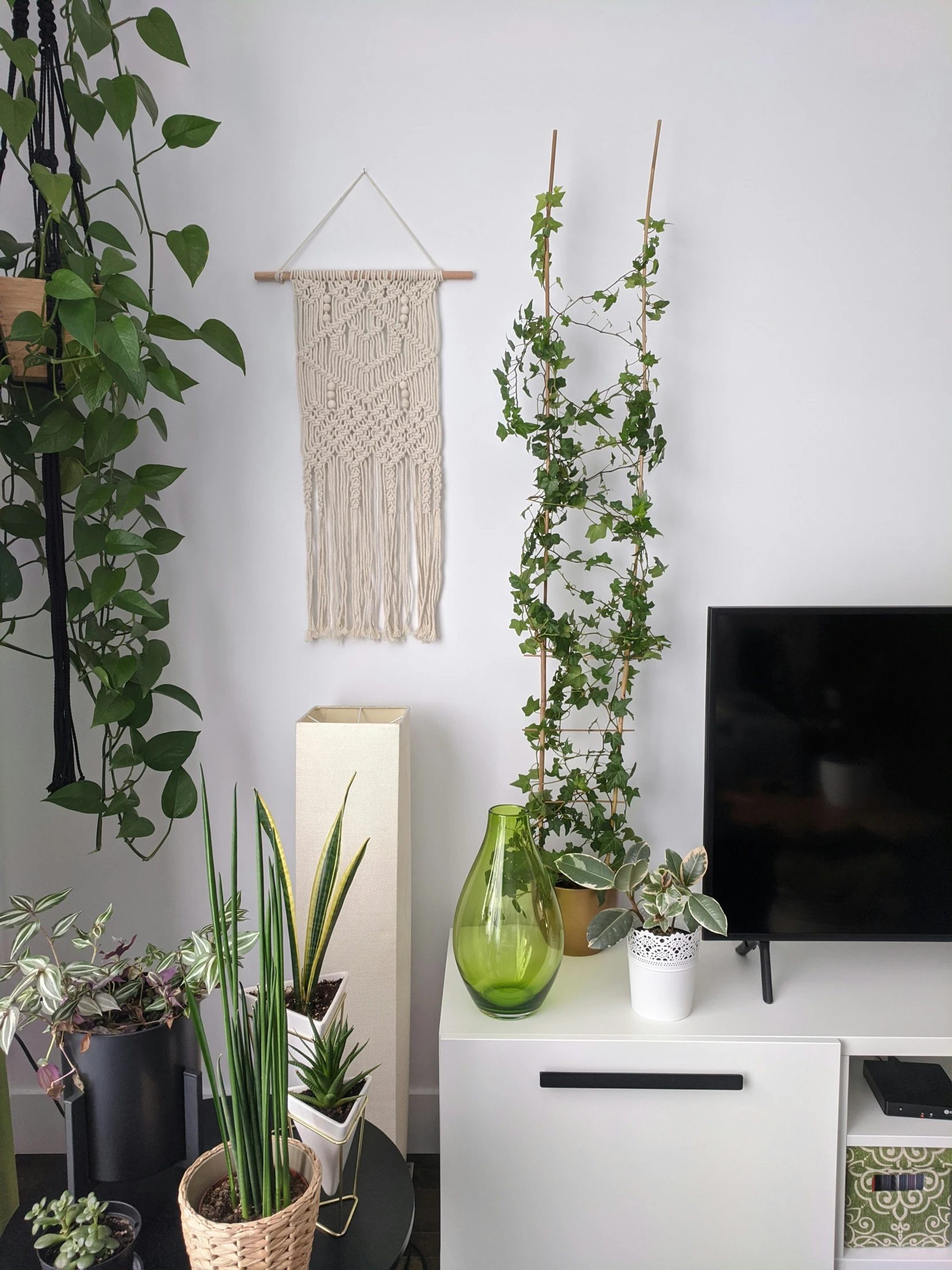 a room that has some plants and a tv