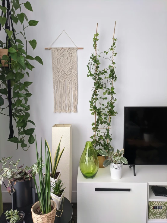 a room that has some plants and a tv