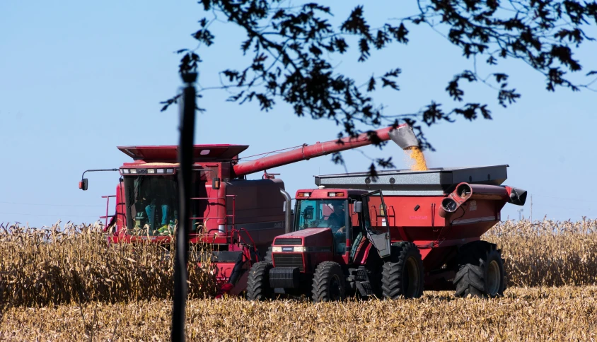 two farm workers in a wheatfield inspecting their equipment