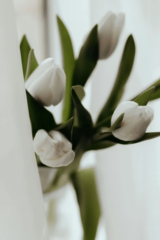 the flowers are sitting next to the window