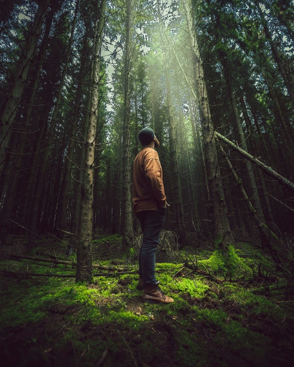 a person standing in the forest with the light coming from behind