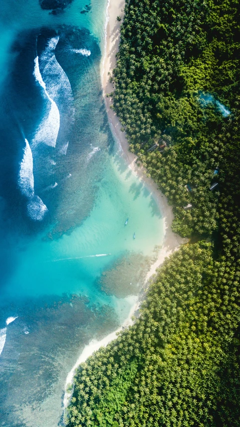 an aerial view of a beach surrounded by trees