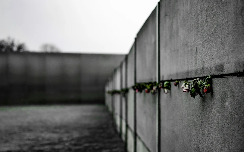 a long wall is decorated with red flowers