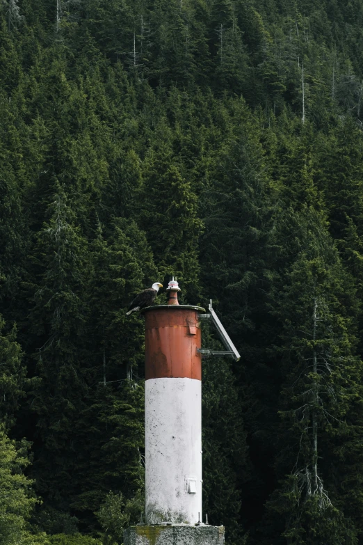 there is a red and white lighthouse on a rock