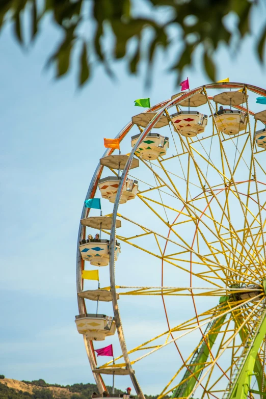 the ferris wheel on a sunny day in amut park