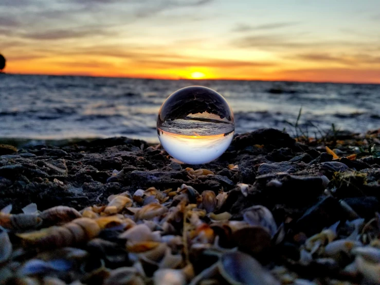 a large ball on the ground in front of a body of water