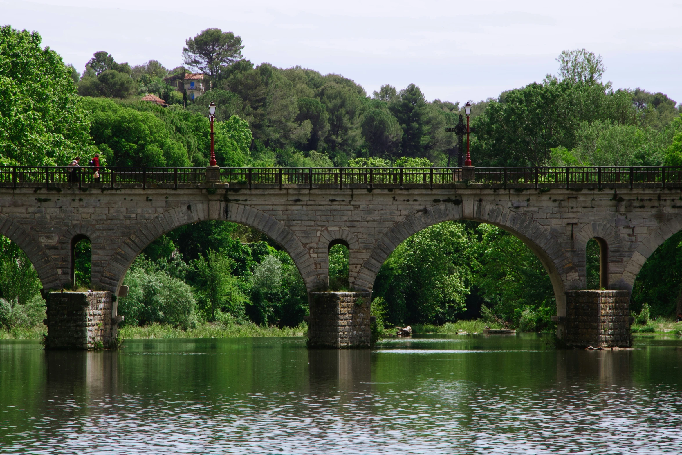 a man standing on a bridge with lots of trees in the background