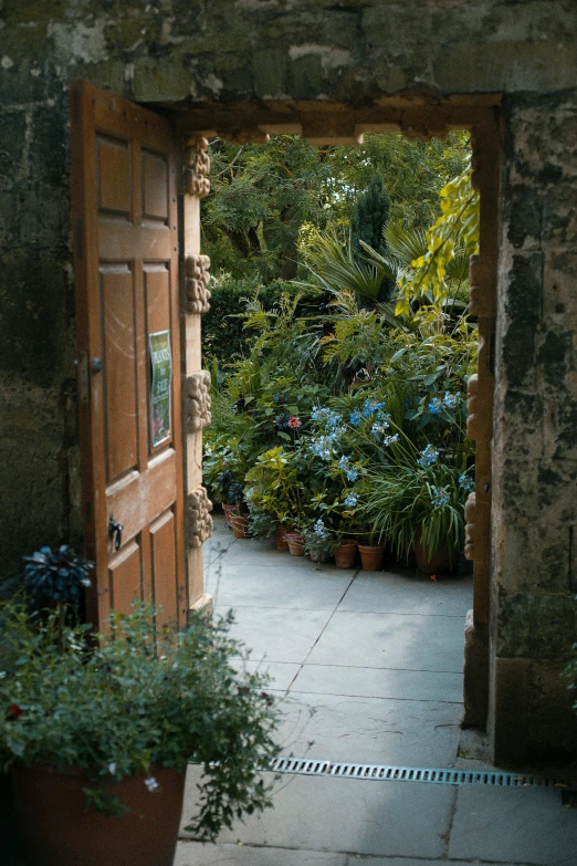 there is a doorway and potted plants in the background
