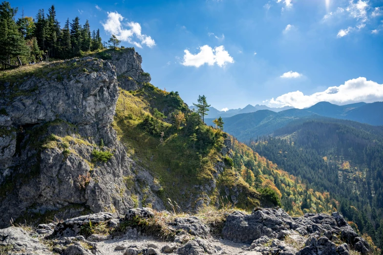 rocks, dirt, and trees stand on the slope of the mountain