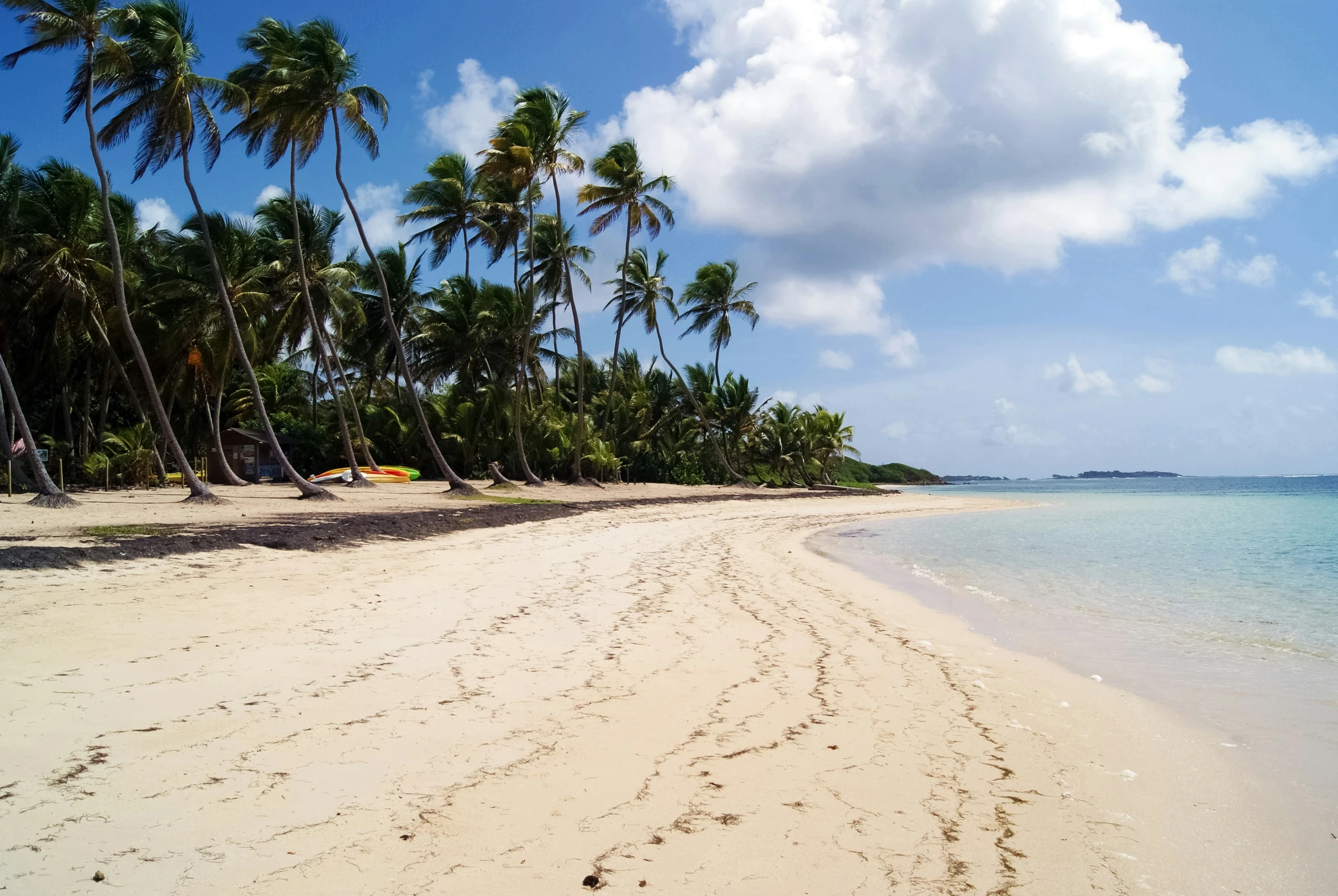 an empty beach surrounded by trees and ocean waves